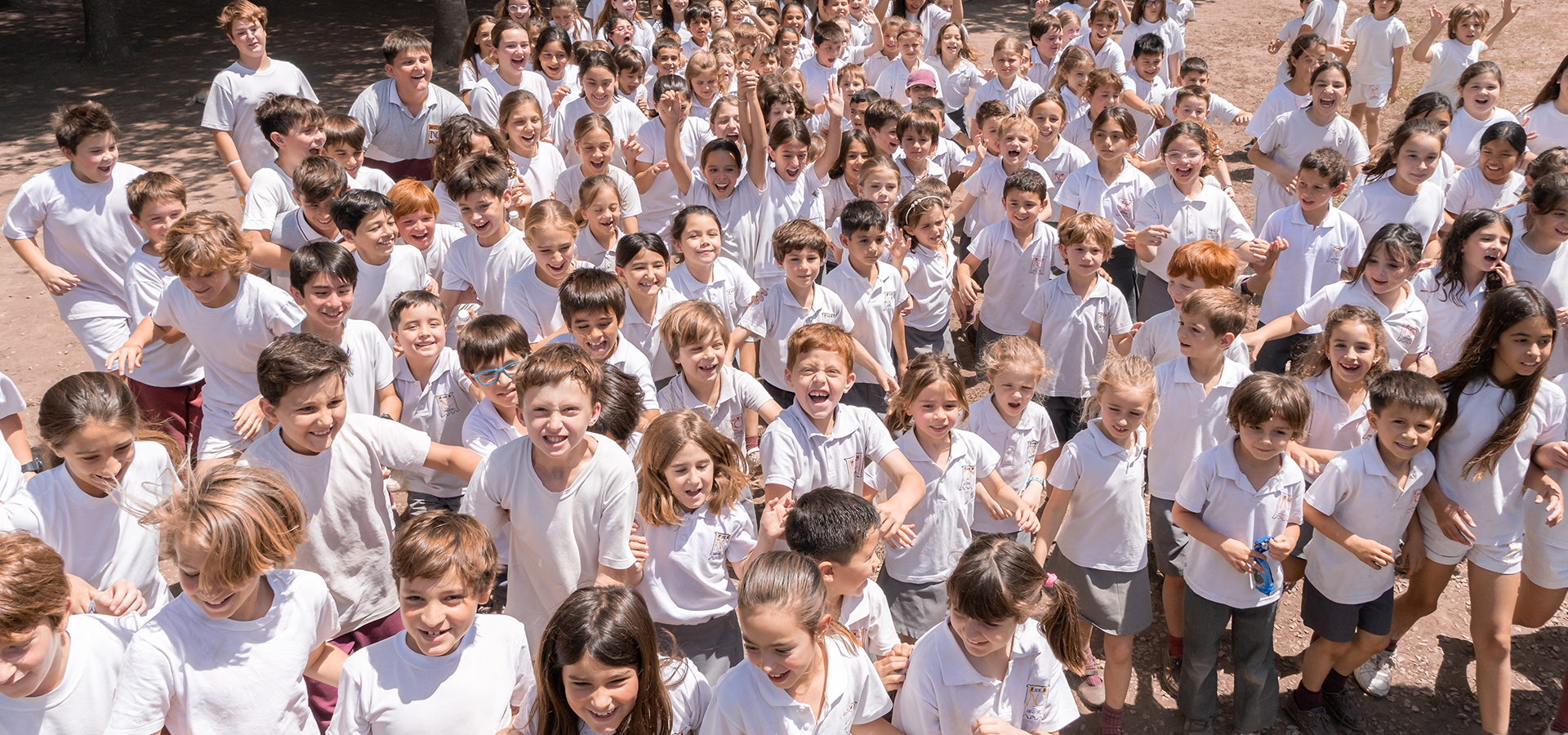 Nivel Primario Nuevo Colegio Ingles